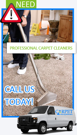 Professional Carpet Cleaning