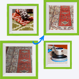 Rug Cleaning Services
